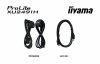 iiyama ProLite XU2491H-B1