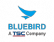 Bluebird