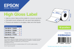 Epson label roll, normal paper, 102x152mm