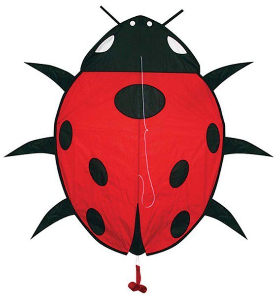 Latawiec SKYDOG - Lady Bug 39x28&quot;