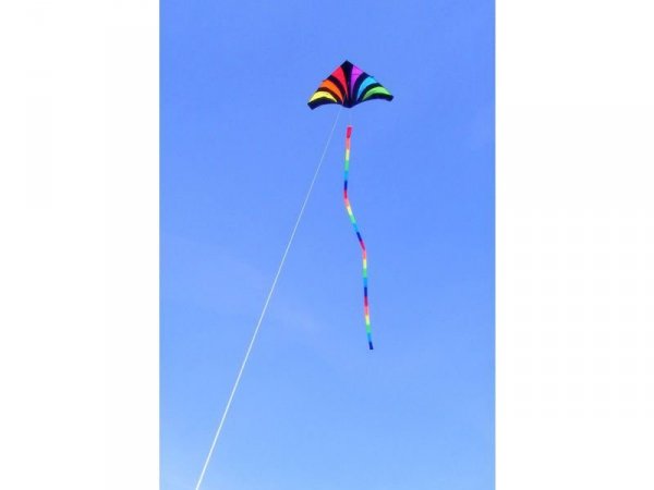 Latawiec SKYDOG - Rainbow Tube 24&quot; - OGON