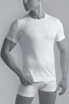 Koszulka męska Gatta 2409s T-shirt