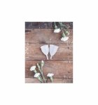 Lunette Menstrual Cup Clear - model 1 Lunette Menstrual Cup Clear - model 1
