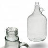 gąsior-balon-dama-5000-ml-karton-6-sztuk-lemon-tree-glass-nakretka