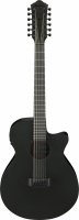 IBANEZ AEG1221-BOT Gitara elektroakustyczna 12 strunowa