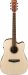 Ibanez PF 10CE-OPN Gitara elektroakustyczna