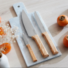 Zestaw noży Opinel Parallele Trio 001838