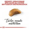 Royal Canin British Shorthair Kitten karma sucha dla kociąt, do 12 miesiąca, rasy brytyjski krótkowłosy 2kg