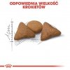 Royal Canin Indoor Apetite Control karma sucha dla kotów dorosłych przebywających w domu, domagających się jedzenia 400g