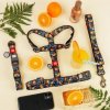 Collar WauDog Nylon Obroża nylonowa z QR-paszportem, plastikowy fastex, wzór POMARAŃCZE, 20mm/28-40cm