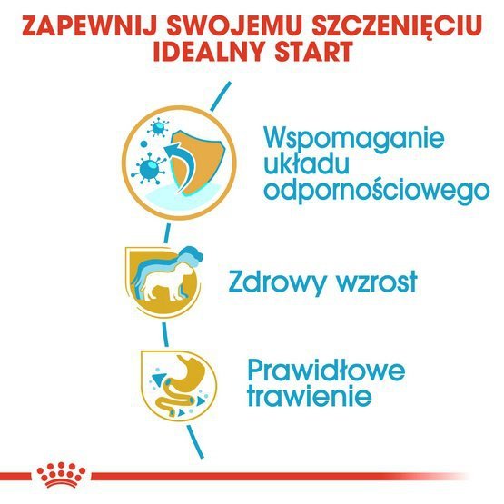 Royal Canin Jack Russell Terrier Puppy karma sucha dla szczeniąt do 10 miesiąca, rasy jack russell terrier 1,5kg