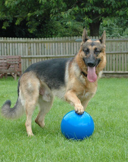Boomer Ball L - 8&quot; / 20cm niebieska