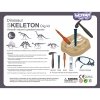 WOOPIE Wykopalisko Mały Archeolog 6 Szkieletów Dinozaurów