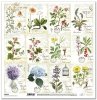 Papier für Scrapbooking SL1036