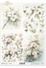 Rice paper R2590