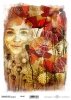 .Transfer paper ITD T4047