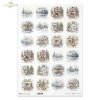 Rice paper R1289L