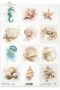 Rice paper R2857