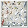 scrapbooking paper SL1087
