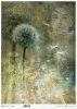 Rice paper R0915L
