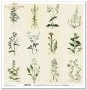 scrapbooking paper SL1035