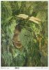 Papier ryżowy (HS code 48021000) R0917L