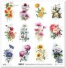Papier do scrapbooking (HS code 48025890) SL1358