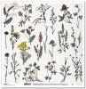 Papier do scrapbooking (HS code 48025890) SL1037