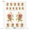 decoupage-kwiat-akwarela-róże-kwiaty-ogród-Joanna-Pasek-R0140