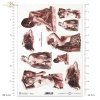 female nudes, woman, women, art prints, contemporary painting, Joanna Maloszczyk, contemporary artist, weiblicher Akt, weibliche Akte, Frau, Frauen, Kunstdrucke, zeitgenössische Malerei, zeitgenössische Künstlerin