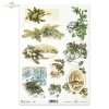 Christmas, winter, christmas decorations, spruce branches, holly
