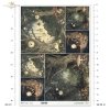 mroczny las, zegary, grzyby, baśniowy krajobraz, ciemny las*dark forest, clocks, mushrooms, fairytale landscape, dark forest*dunkler Wald, Uhren, Pilze, märchenhafte Landschaft, dunkler Wald*bosque oscuro, relojes, setas, paisaje de cuento, bosque oscuro