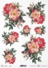 Flores de papel de arroz, rosas silvestres*Reispapierblumen , Wildrosen*Рисовые бумажные цветы, дикие розы