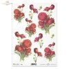 rose, roses, flower, flowers, bouquet, bouquets, R420