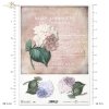hortensja, hortensje, kwiat, ogród, lato, hortensją, pocztówka, Paris, R984, flower, garden, summer, hydrangea, postcard, Blume, Garten, Sommer, Hortensie, Postkarte, flor, jardín, verano, hortensia, tarjeta postal, París