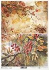 jesienne widoczki, rośliny, jarzębina, jesień, liście*autumn views, plants, rowan, autumn, leaves*Herbstansichten, Pflanzen, Eberesche, Herbst, Blätter