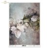 motywy roślinne, motywy kwiatowe, tło, tapeta, kolaż, rośliny, kwiat, kwiaty, bukiet, floral motifs, flower motifs, background, wallpaper, collage, plants, flower, flowers, bouquet, Blumenmotive, Hintergrund, Wallpaper, Collage, Pflanzen