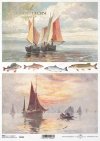 fish, water, sea, boat, sailboat, angler, fishing, fisherman, fishing, catching, Fisch, Wasser, Meer, Boot, Segelboot, Angler, Fischen, Fischer, Fischen, fangen, pez, pescado, agua, mar, barco, velero, pescador, pesca, pescador, captura