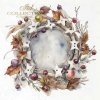 zimowe wieńce, zima*winter wreaths, winter*Winterkränze, Winter*coronas de invierno, invierno