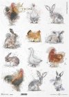Pastelowe kolory, tagi, 12 małych obrazków, kogut, kura, królik, zając, kurczaki, Wielkanoc, wokół farmy