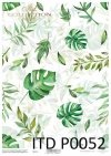 filodendron-monstera-zielone-liście-Pergamin-do-scrapbookingu-P0052-decoupage-paper-with-leaves