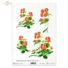 rice-paper-decoupage-nasturtium-flowers-meadow-garden-Krystyna-Jałochowska-R0125 