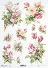 róża, róże, kwiat, bukiet, ogród, lato, R645, rose, flower, bouquet, garden, summer, Rose, Blume, Strauß, Garten, Sommer, rosa, flor, ramo, jardín, verano