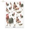 kura, kurka, kogut, chrabąszcz, owad, stary but, świąteczny, wielkanocne tematy, R664, hen, cockerel, cockchafer, insect, old shoe, easter themes, gallina, gallito, gallito, insecto, zapato viejo, festivo, pascua, temas de pascua, Henne, Hahn, Maikäfer, I