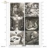 mystery, fairy tales, gate to a secret garden, Thumbelina, Toad, little girl with matches, wild swans, Alice in Wonderland, rabbit hole, library, Schwarz-Weiß, Geheimnis, Märchen, geheimer Garten, Tor zum geheimen Garten