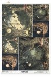 mroczny las, zegary, grzyby, baśniowy krajobraz, ciemny las*dark forest, clocks, mushrooms, fairytale landscape, dark forest*dunkler Wald, Uhren, Pilze, märchenhafte Landschaft, dunkler Wald*bosque oscuro, relojes, setas, paisaje de cuento, bosque oscuro