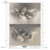 vintage, retro, amor, amorki, aniołki, anioły, aniołek, anioł, R699, cupid, angel, angelic, Amor, Amoretten, Engel, Engel, Engelchen, cupido, cupids, angeles, angel, angelic