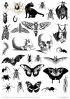 Creative Set MS024 Gothic Stories