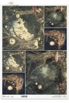 mroczny las, zegary, grzyby, baśniowy krajobraz, ciemny las*dark forest, clocks, mushrooms, fairytale landscape, dark forest*dunkler Wald, Uhren, Pilze, märchenhafte Landschaft, dunkler Wald*bosque oscuro, relojes, setas, paisaje de cuento, bosque oscuro