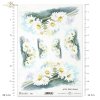 margerytka, margerytki, kwiat, ogród, łąka, wiosna, autorka grafiki Maria Kopeć, R908, marguerite, flower, garden, meadow, spring, Margerite, Blume, Garten, Wiese, Frühling, marguerite, marguerites, flor, jardín, prado, primavera